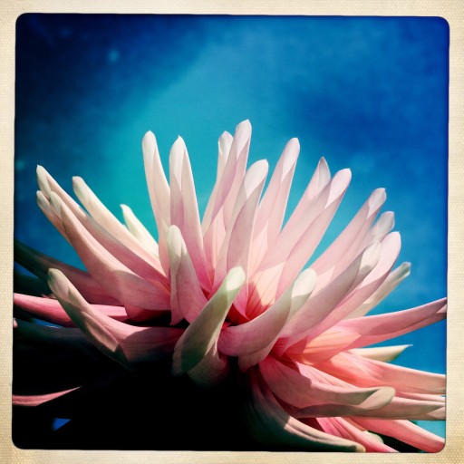 Discover Unique Fish Bar Vibes: From Tiki to Old Florida